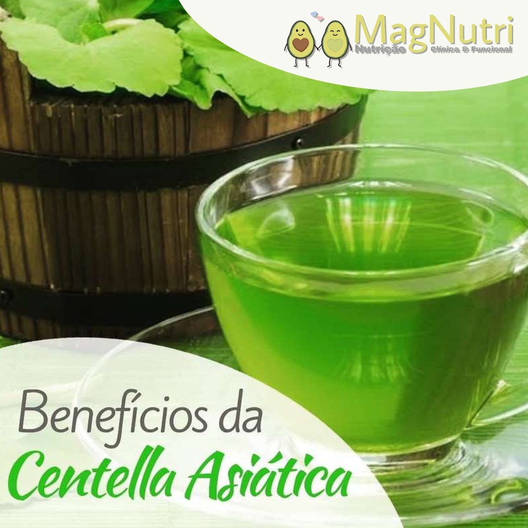 Benefícios da Centella Asiática-Uma ajudante no combate a celulite