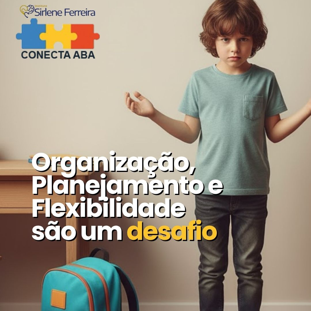 Organização e planejamento-desafios para criança com TEA