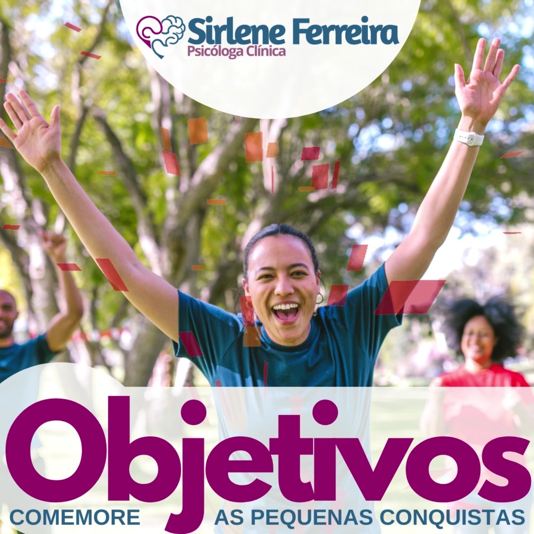 Objetivos-Comemore pequenas conquistas